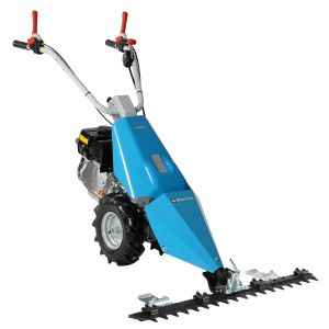 Bertolini BT 110 Benzinli Çayır Biçme 5.4 Hp